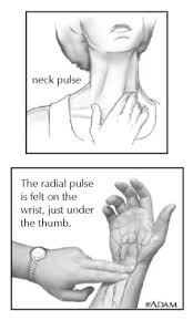 finding your pulse