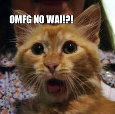 A ginger cat looking shocked with the caption "OMFG NO WAI?!"