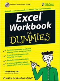 Excel  Workbook For Dummies